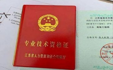 正高级职称专业技术工作总结7篇