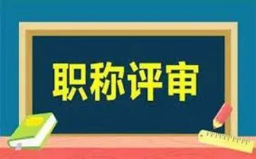 正高级专业技术工作总结8篇