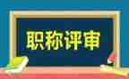 正高级专业技术工作总结8篇