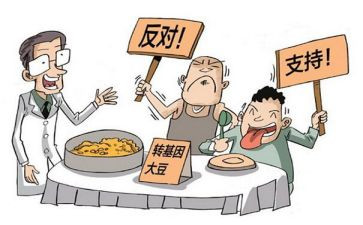 争论作文500字6篇