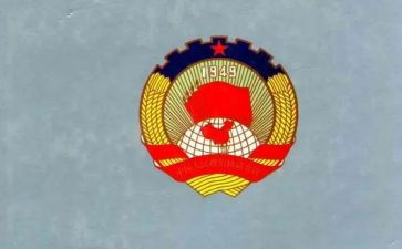 镇政协委员述职报告6篇