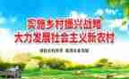 振兴乡村年工作计划5篇