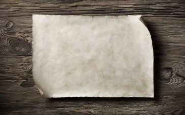 会喝水的纸教案8篇