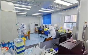 质量部月工作总结6篇