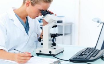 2023年质量工作计划优秀7篇