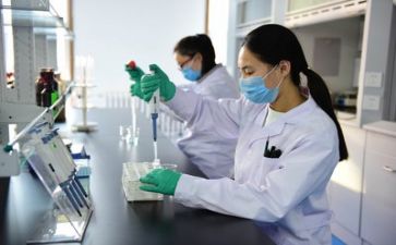 教师提高质量心得体会5篇