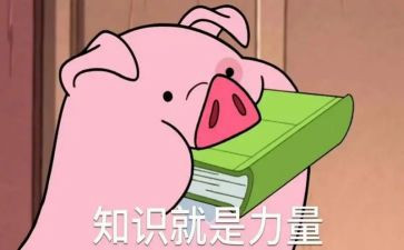 安全知识的演讲稿通用8篇