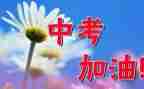 中考备考心得7篇