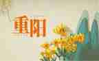 重阳节作文500字作文6篇