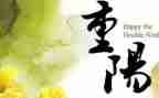 重阳节小学生作文200优秀8篇