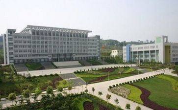 中专幼师学生毕业自我鉴定5篇