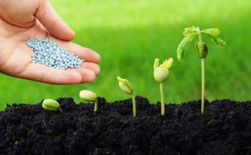 幼儿园运种子教案8篇