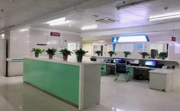专科师范自我鉴定6篇