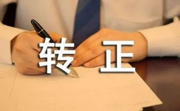 转正申请自我鉴定6篇