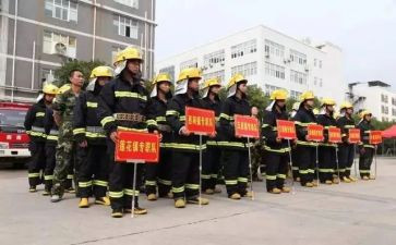 专职队先进事迹材料7篇