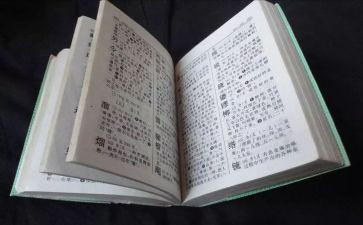 写字典的作文优秀8篇