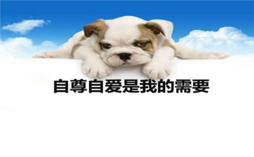 自尊演讲稿8篇