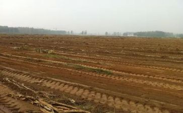 沿街商铺租赁合同7篇