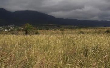 租上租租赁合同模板5篇
