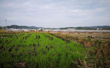 租赁合同房屋模板推荐8篇