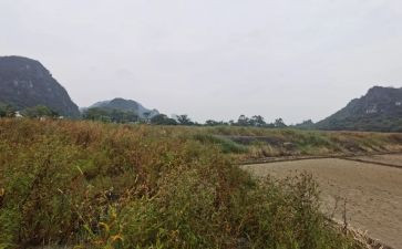 建筑设备租赁合同参考6篇